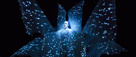 A Night of Musical Enchantment: The Magic Flute Opera Comes to New York City